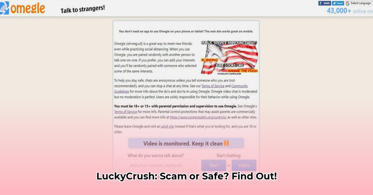 is-lucky-crush-legit